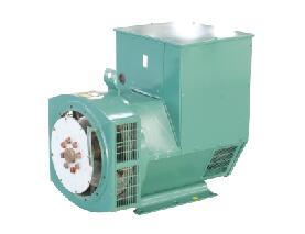 YTW Brushless Generator